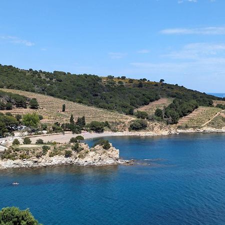 Grand Studio Avec Vue Sur La Mer Et Parking Banyuls-sur-Mer Extérieur photo