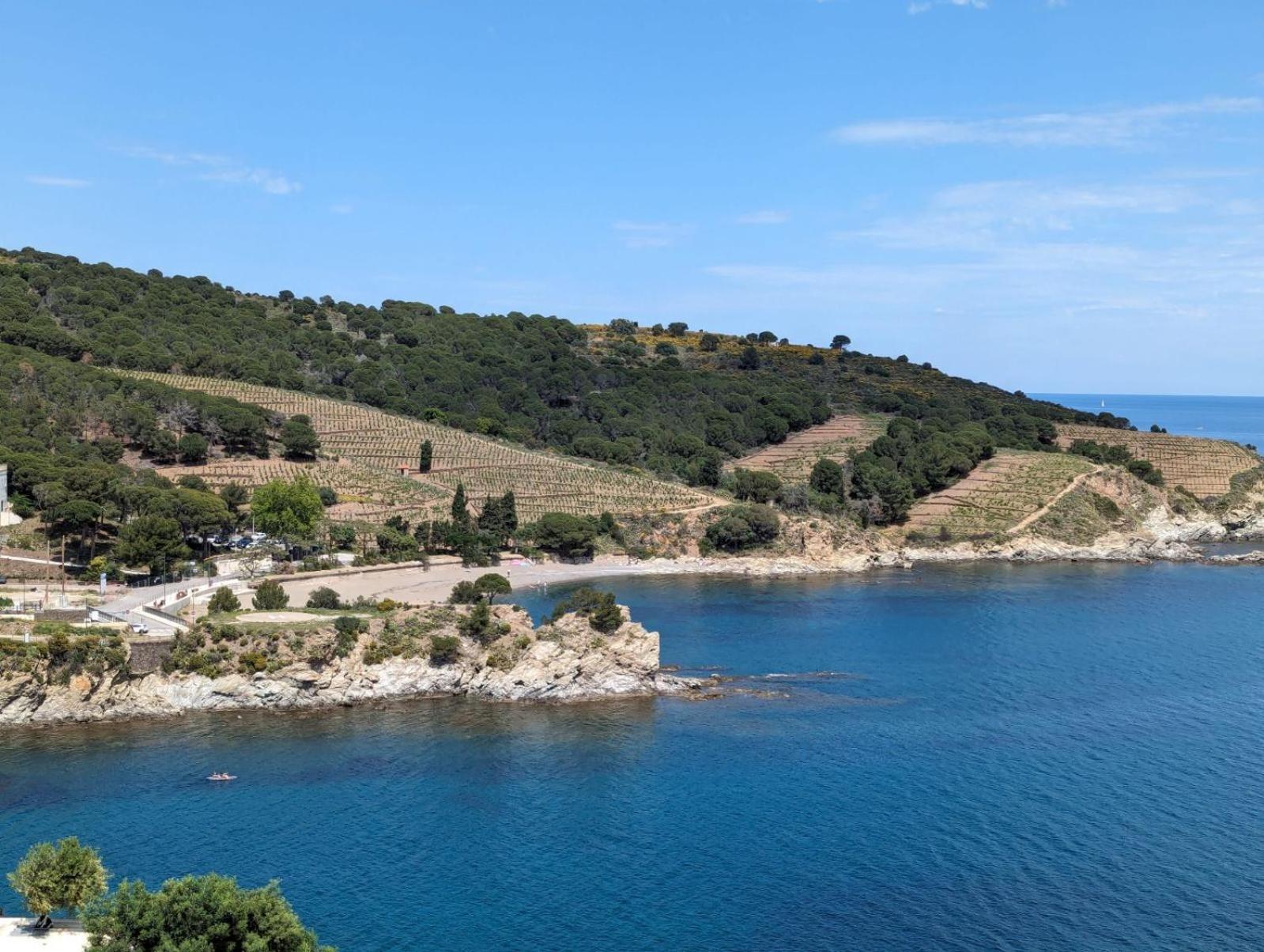 Grand Studio Avec Vue Sur La Mer Et Parking Banyuls-sur-Mer Extérieur photo